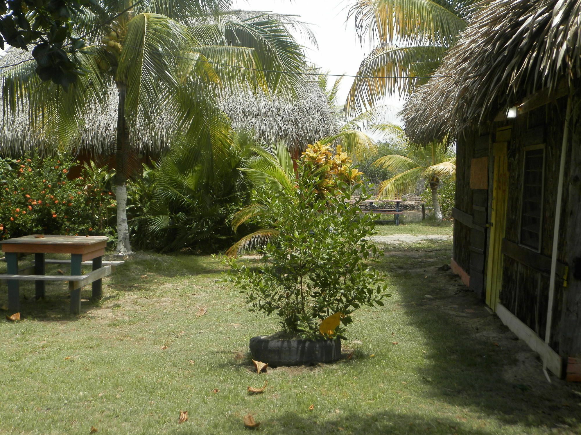 Palmento Grove Cultural And Fishing Lodge Hopkins Exterior photo