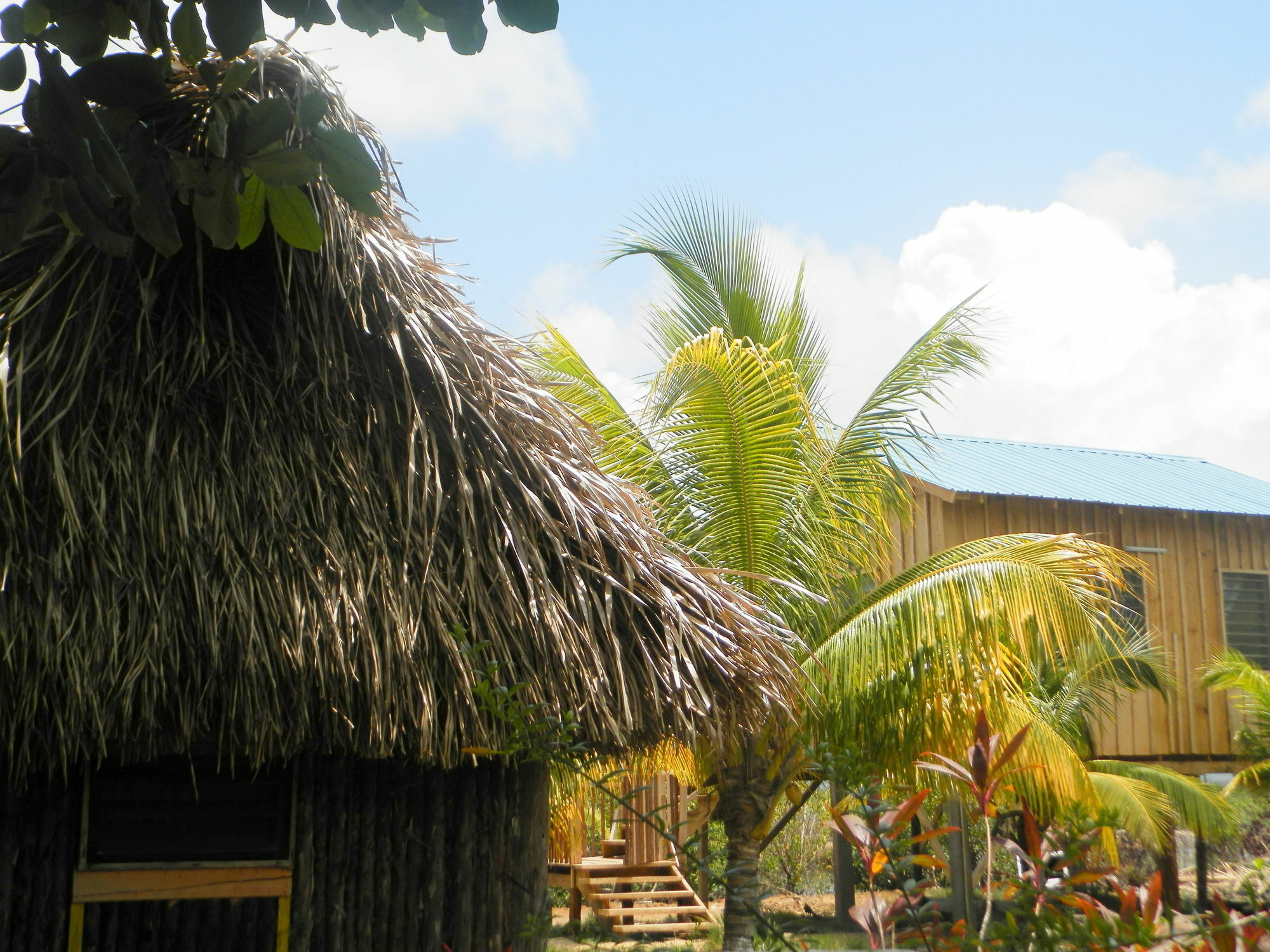 Palmento Grove Cultural And Fishing Lodge Hopkins Exterior photo