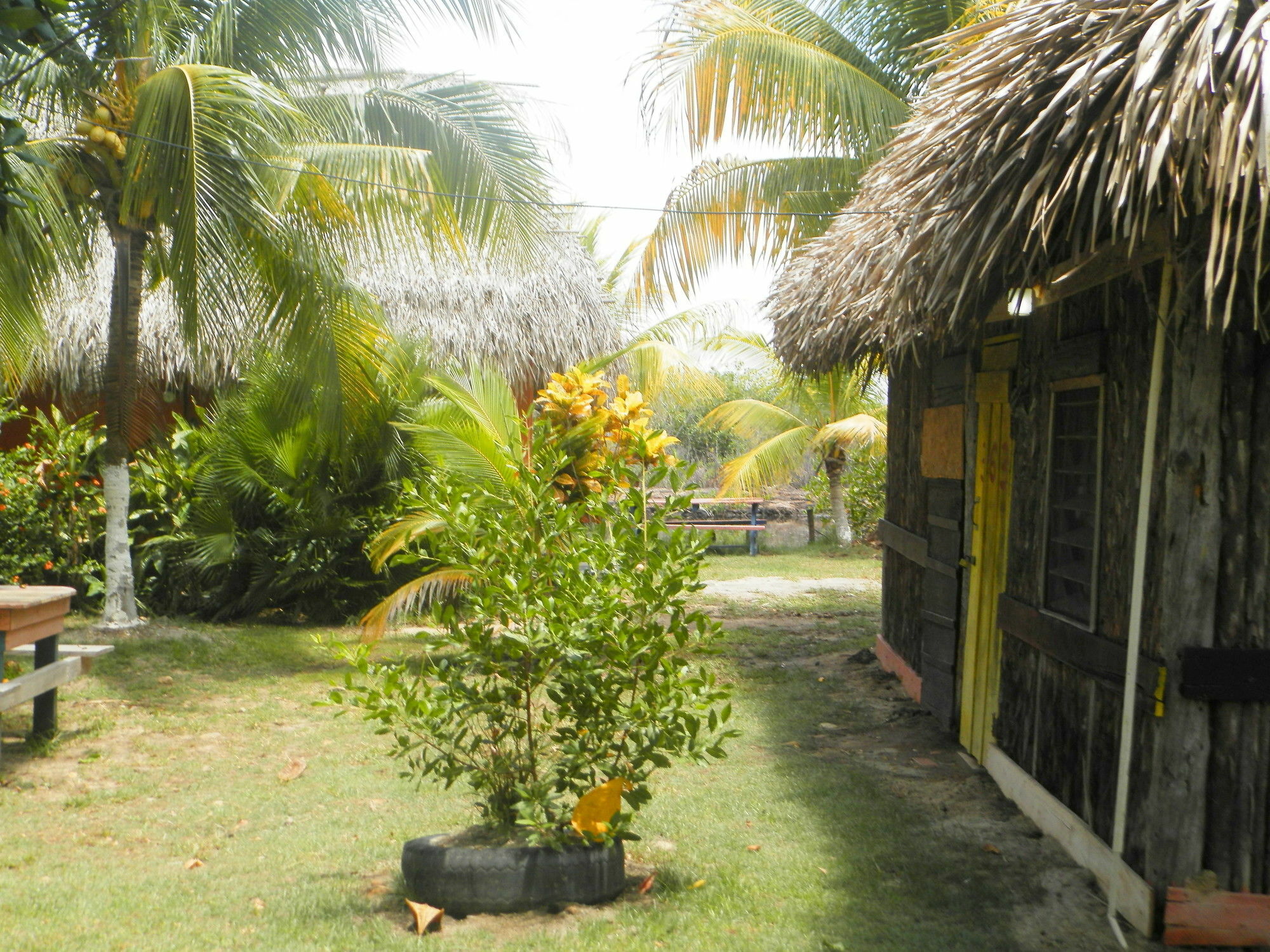 Palmento Grove Cultural And Fishing Lodge Hopkins Exterior photo