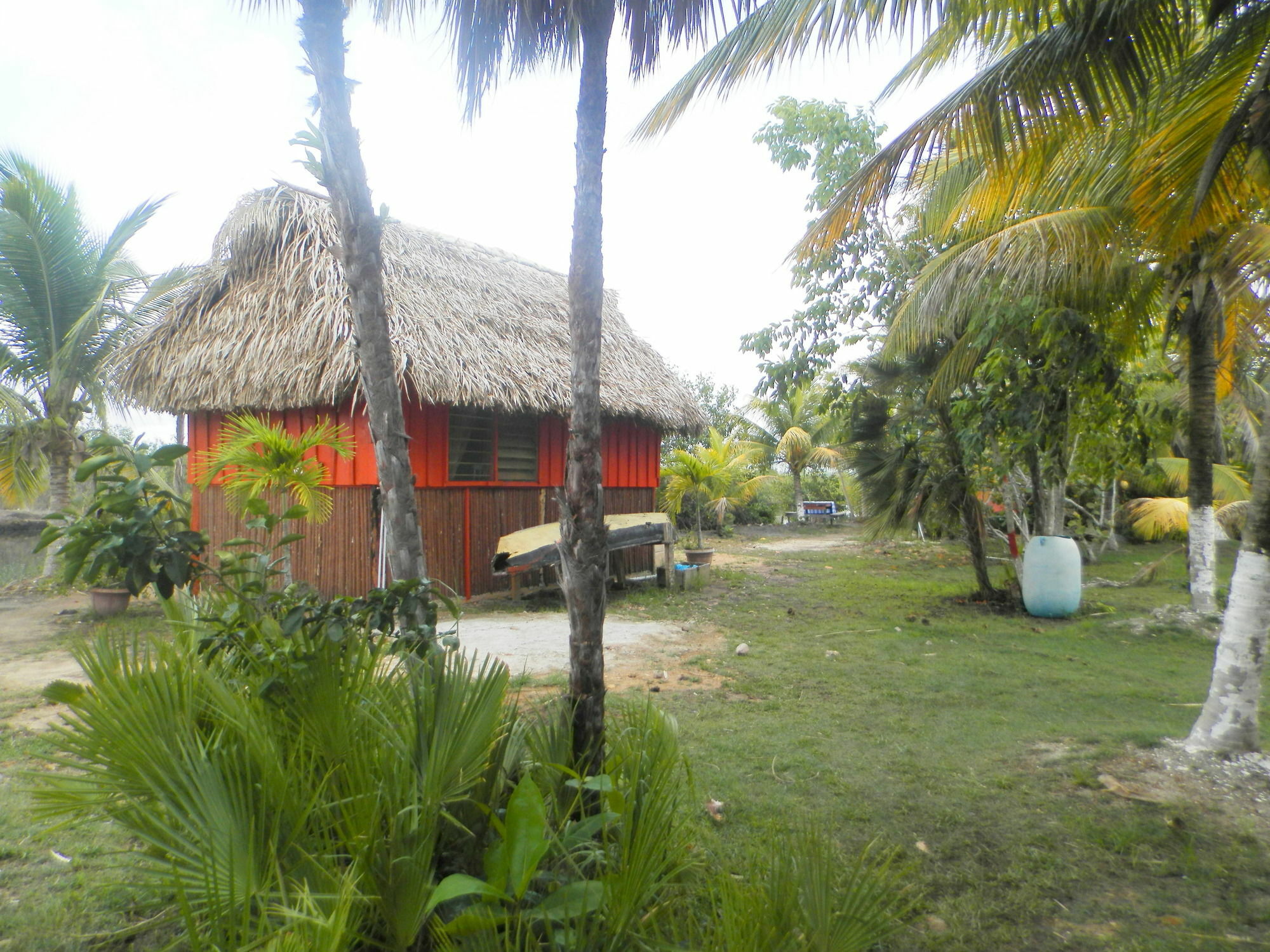 Palmento Grove Cultural And Fishing Lodge Hopkins Exterior photo