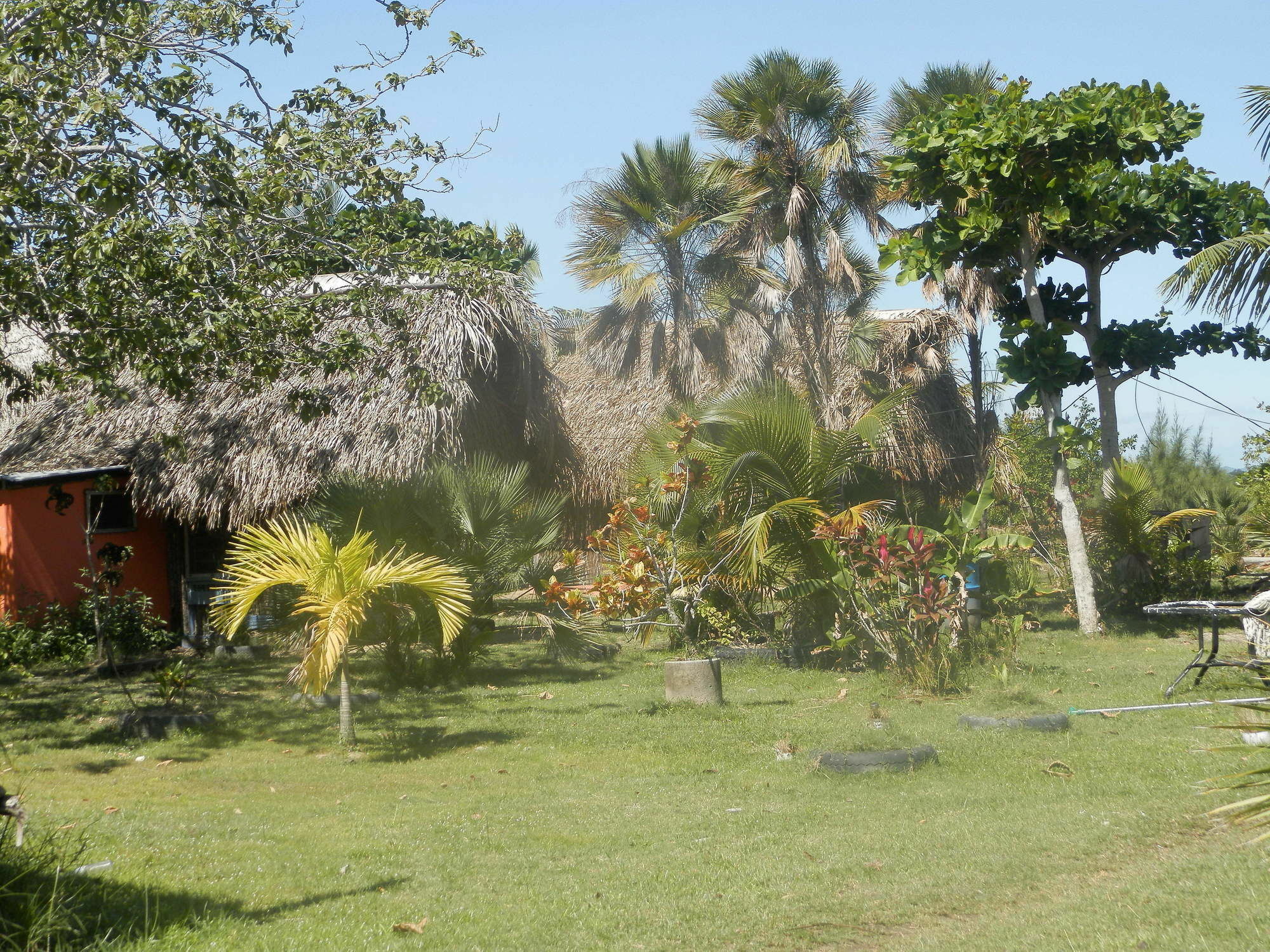 Palmento Grove Cultural And Fishing Lodge Hopkins Exterior photo