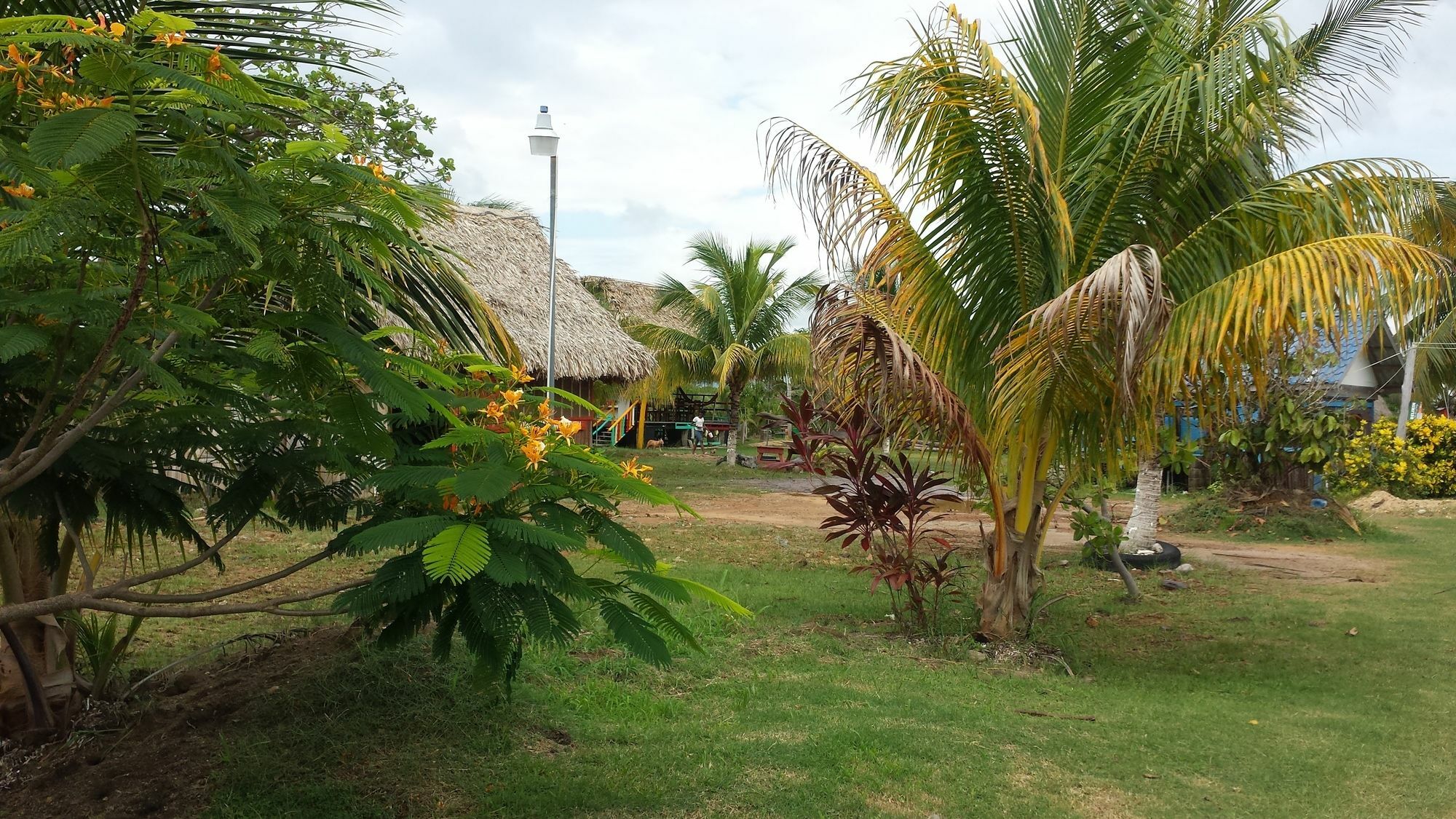 Palmento Grove Cultural And Fishing Lodge Hopkins Exterior photo