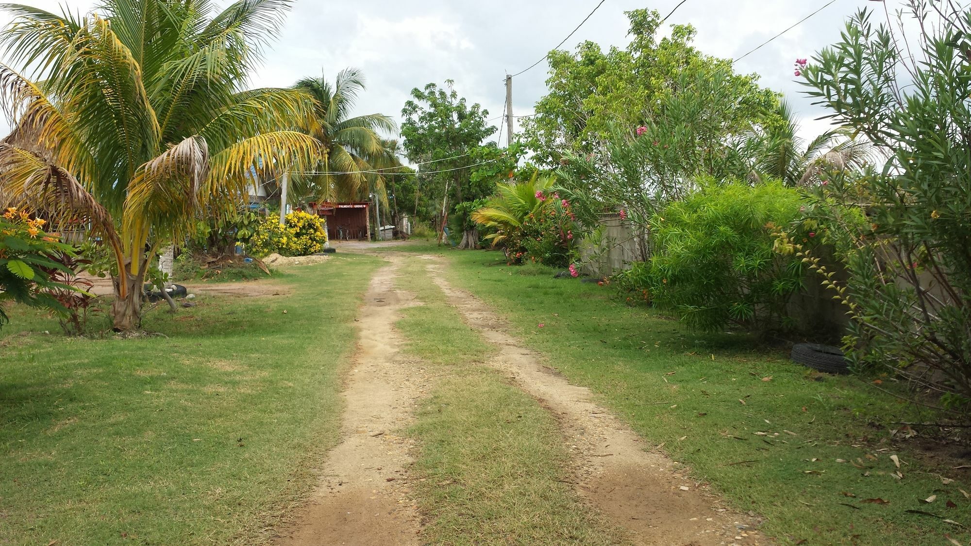 Palmento Grove Cultural And Fishing Lodge Hopkins Exterior photo