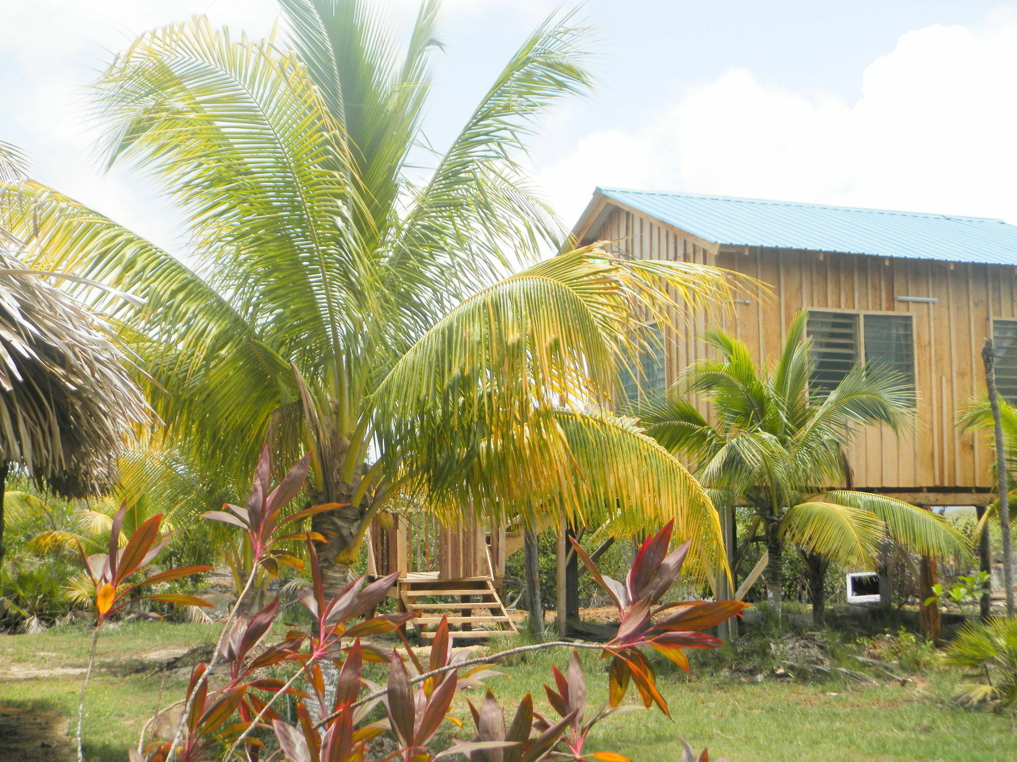 Palmento Grove Cultural And Fishing Lodge Hopkins Exterior photo