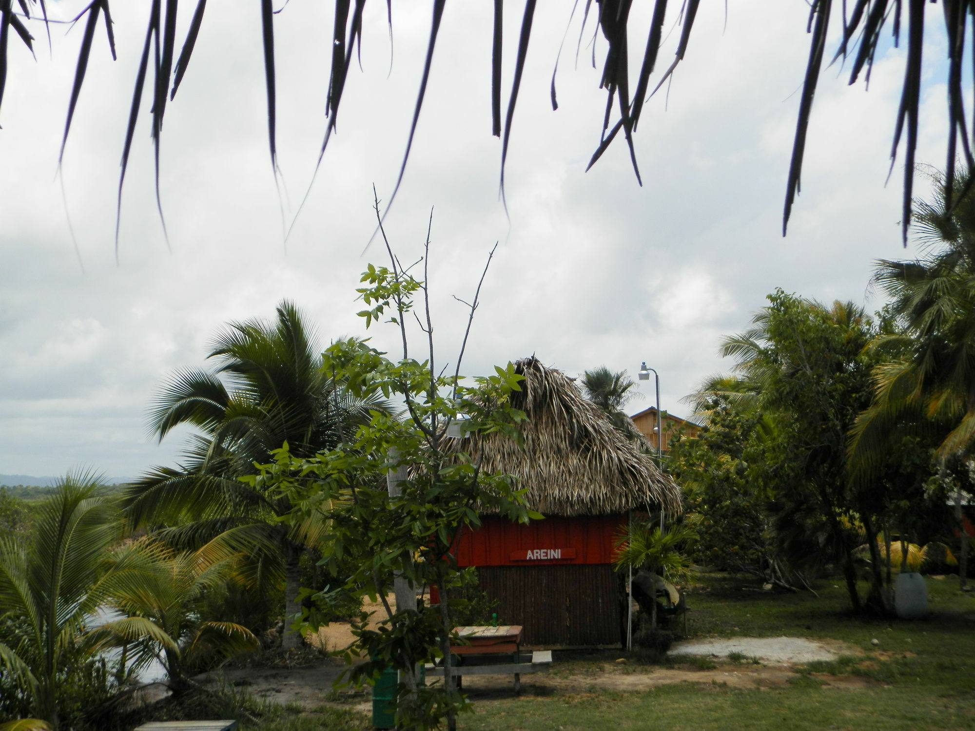 Palmento Grove Cultural And Fishing Lodge Hopkins Exterior photo